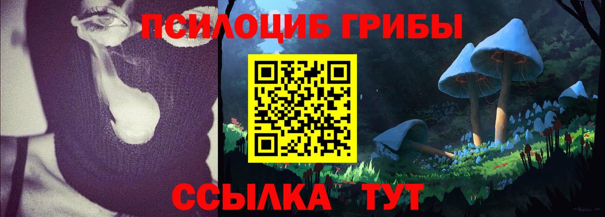 Лысьва  где найти   Галлюциногенные грибы прущие грибы  Вход с VPN  Псилоцибиновые грибы GOLDEN TEACHER 